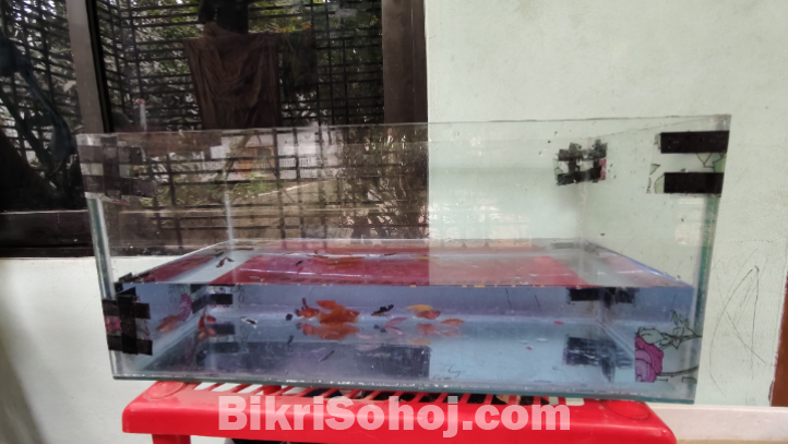 মাছের একুরিয়াম